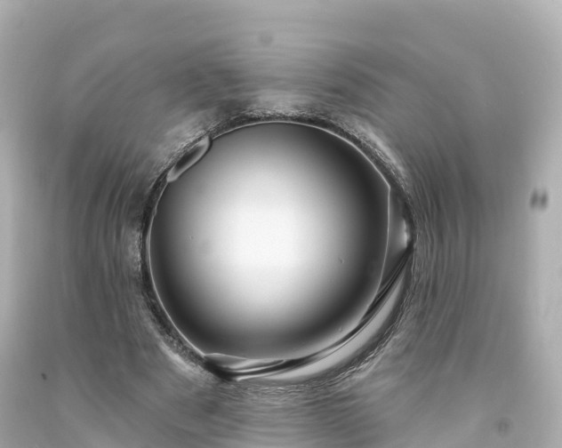 X0000094190489200711021032