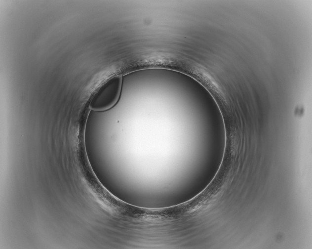 X0000094190490200711021032