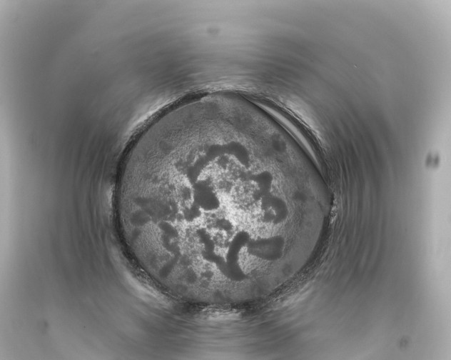 X0000094190491200711021032