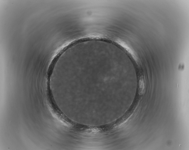 X0000094190492200711021032