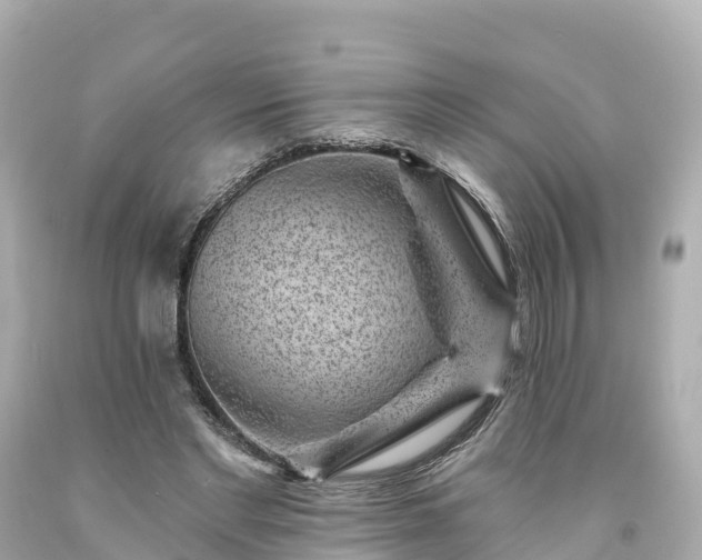 X0000094190493200711021032