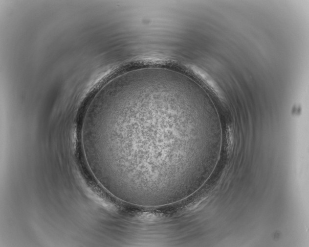 X0000094190494200711021032