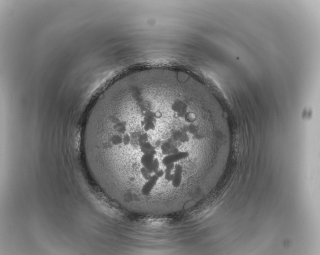 X0000094190495200711021032