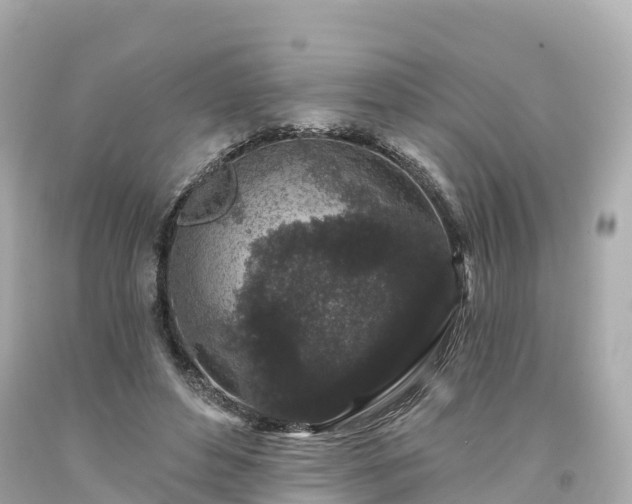 X0000094190496200711021032