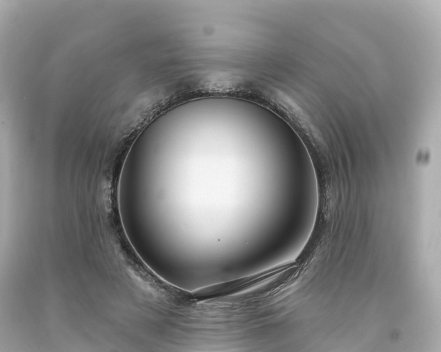 X0000094190497200711021032