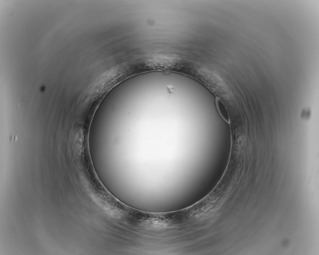 X0000094190498200711021032