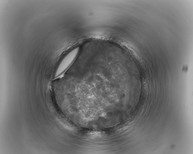 X0000094190499200711021032