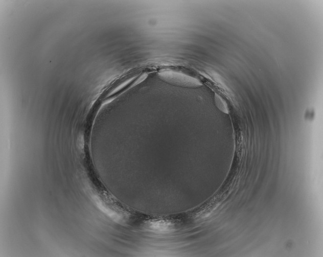 X0000094190500200711021032