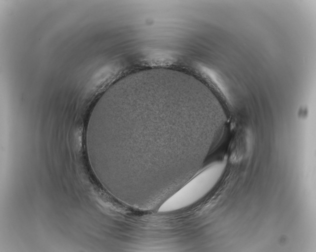 X0000094190501200711021032