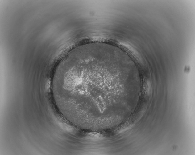 X0000094190502200711021032