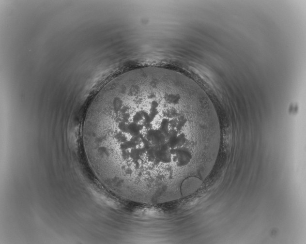 X0000094190503200711021032