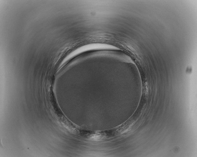 X0000094190504200711021031