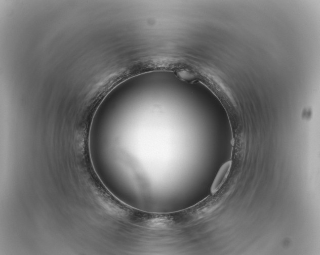 X0000094190505200711021031