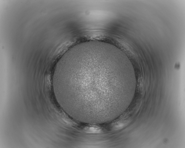 X0000094190506200711021031