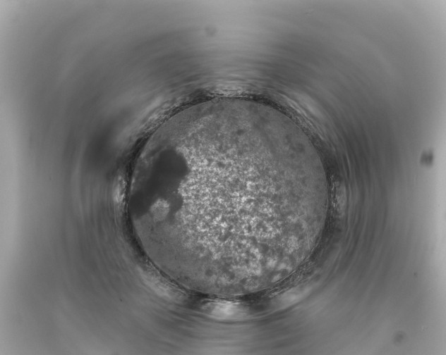 X0000094190507200711021031