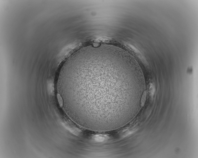 X0000094190508200711021031