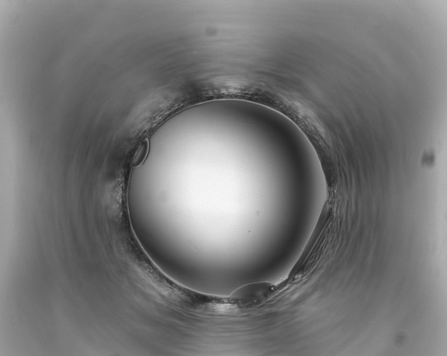 X0000094190509200711021031