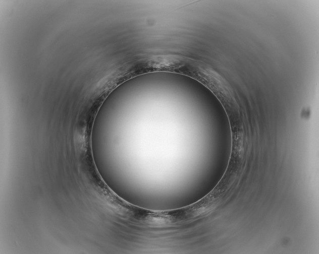 X0000094190510200711021031