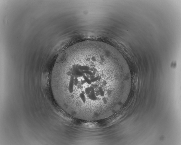 X0000094190511200711021031