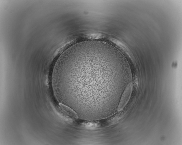 X0000094190512200711021031