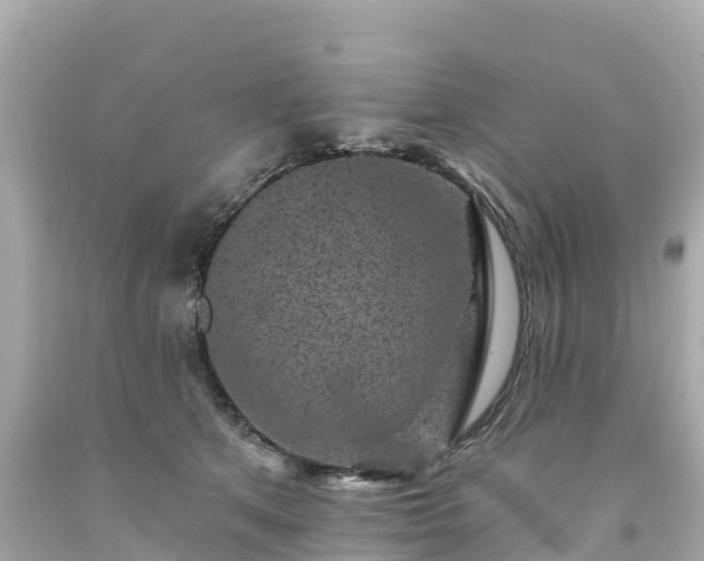 X0000094190513200711021031