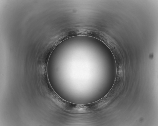 X0000094190514200711021031