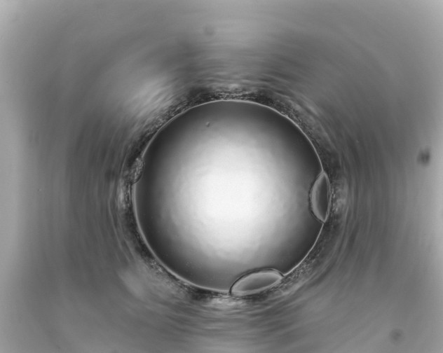 X0000094190515200711021031