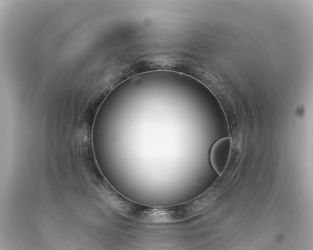 X0000094190518200711021031