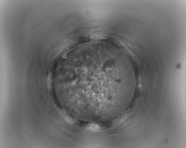 X0000094190519200711021031