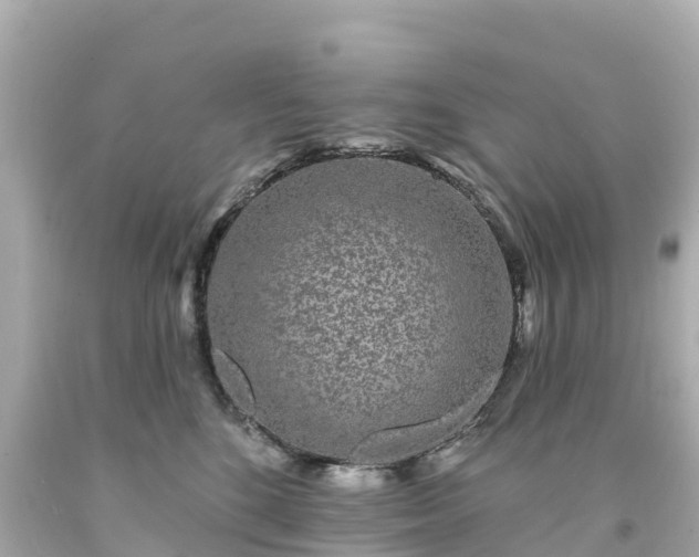 X0000094190520200711021031