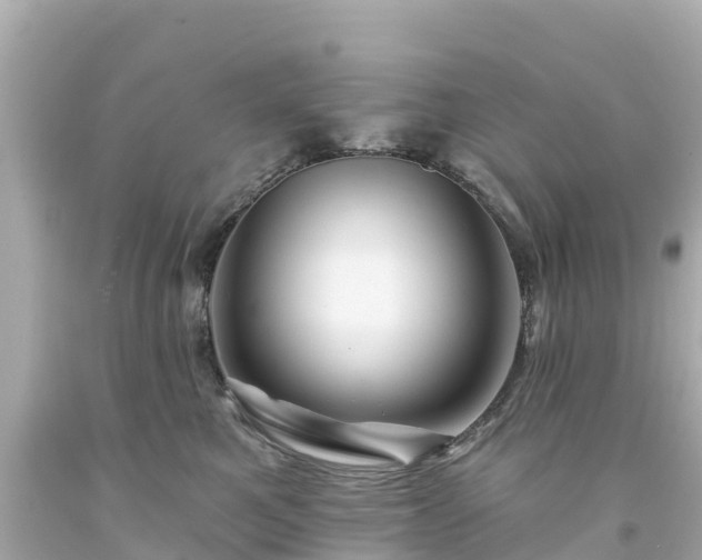 X0000094190521200711021031