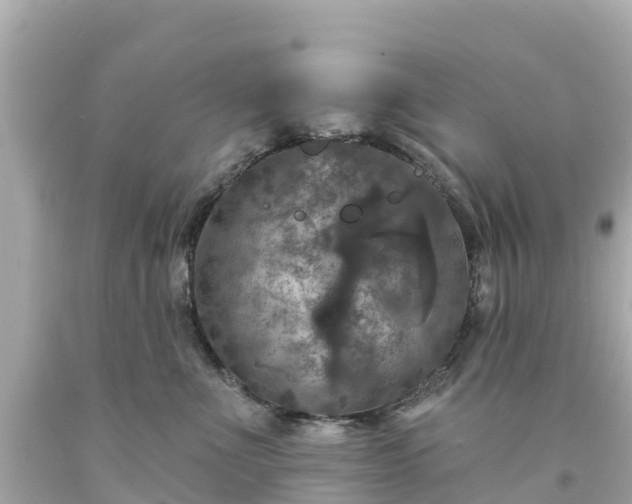 X0000094190523200711021031