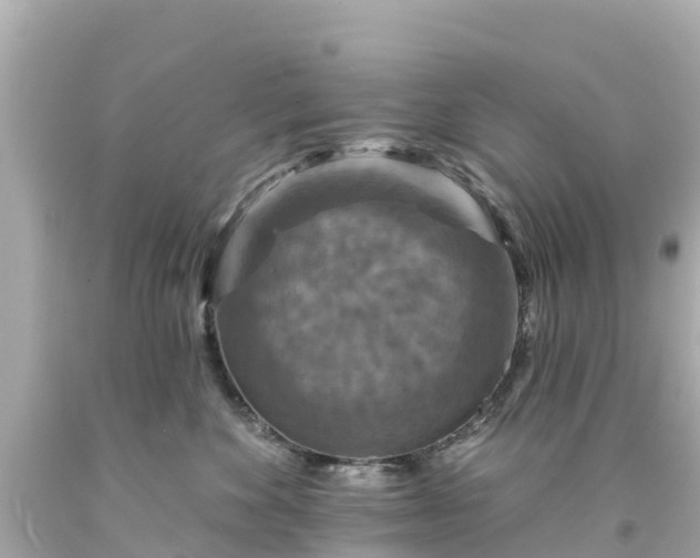 X0000094190524200711021031