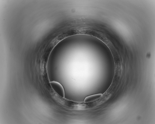 X0000094190525200711021031