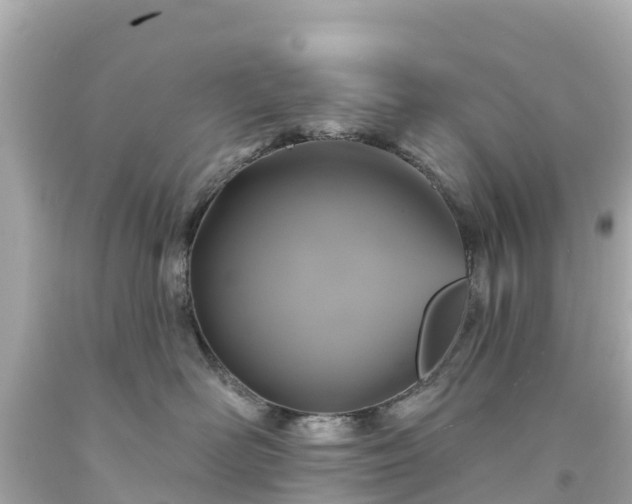 X0000094190526200711021031