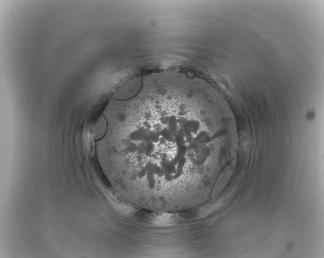 X0000094190527200711021031