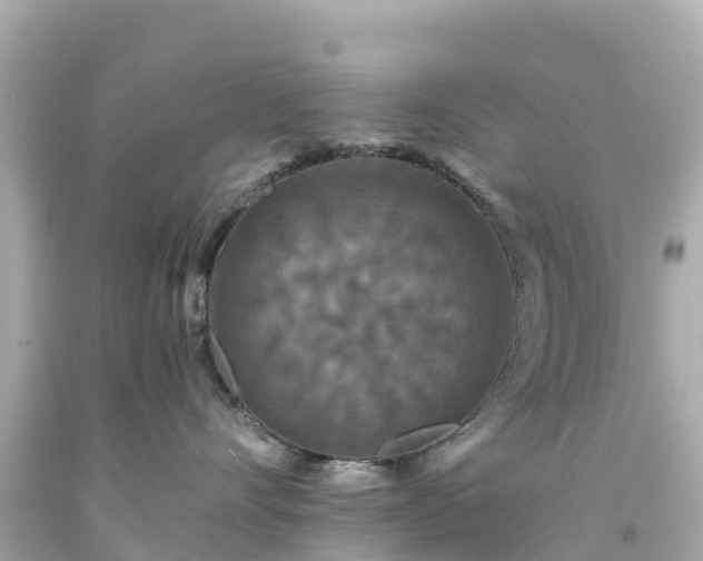 X0000094190528200711021031