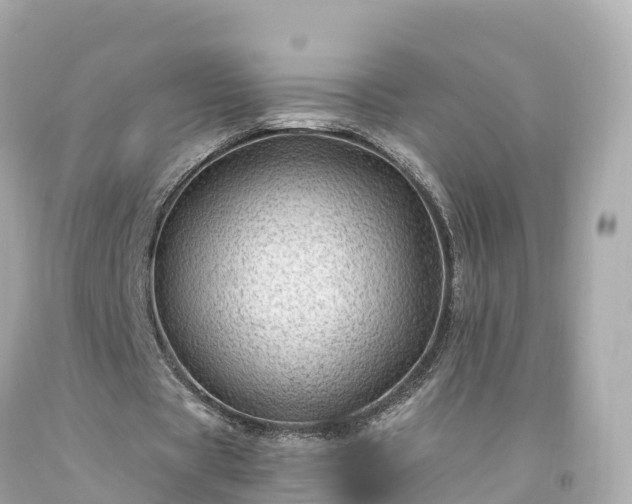 X0000094190529200711021030