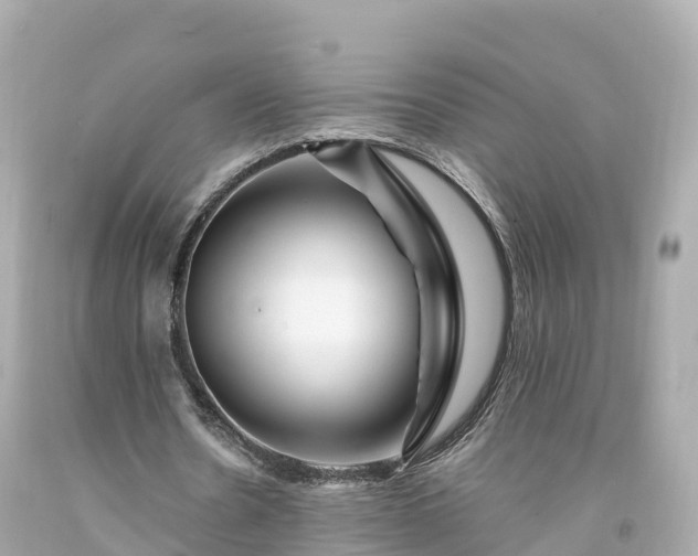 X0000094190530200711021030