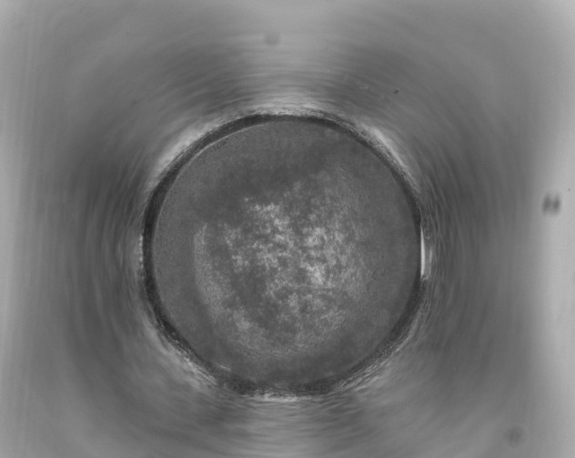 X0000094190531200711021030