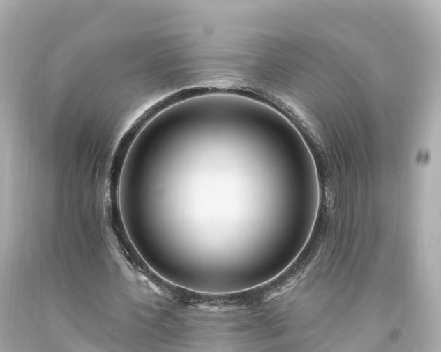 X0000094190532200711021030