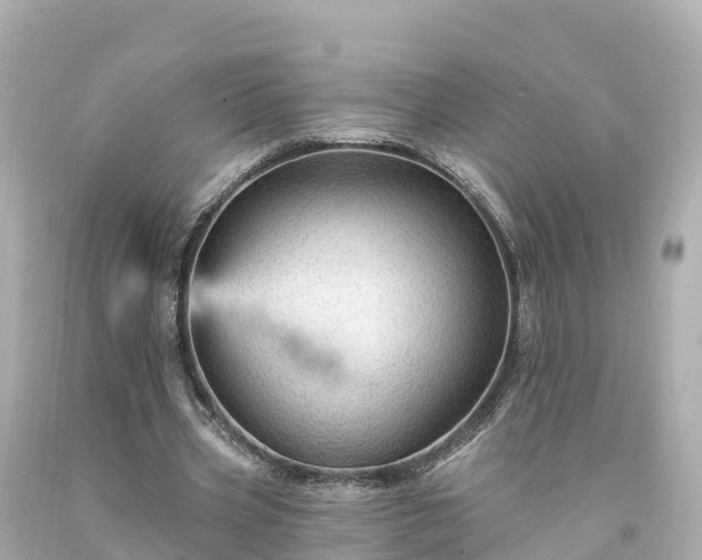 X0000094190533200711021030