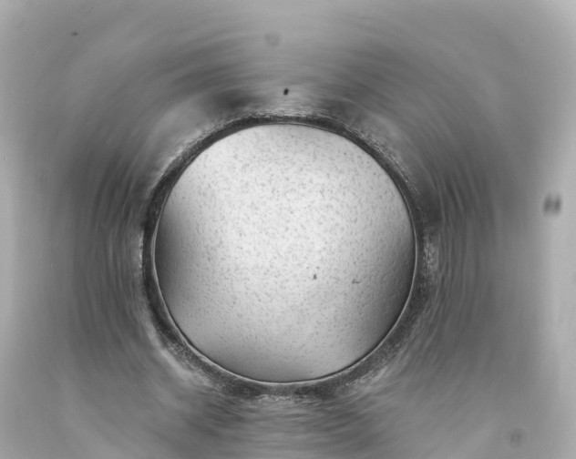 X0000094190534200711021030