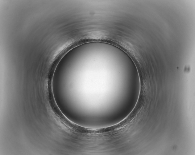 X0000094190535200711021030