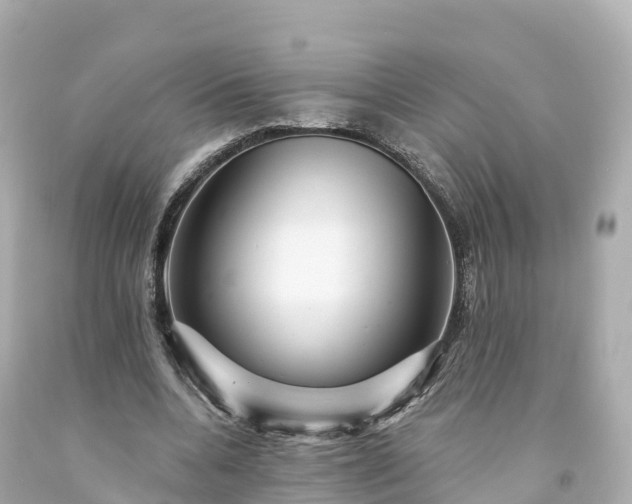 X0000094190536200711021030