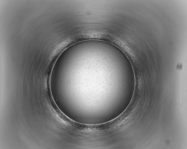 X0000094190537200711021030