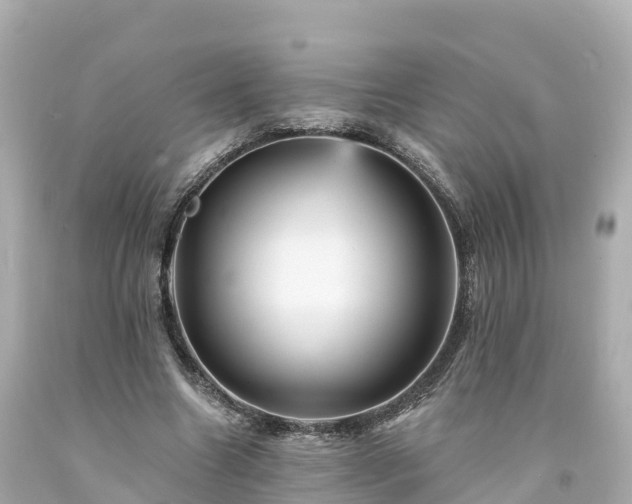 X0000094190538200711021030