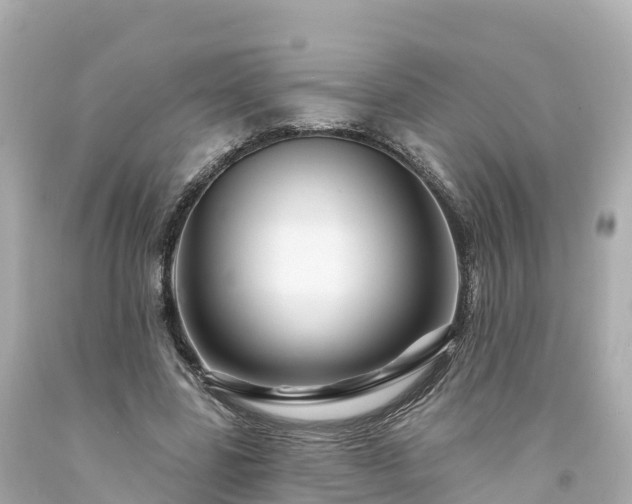 X0000094190539200711021030