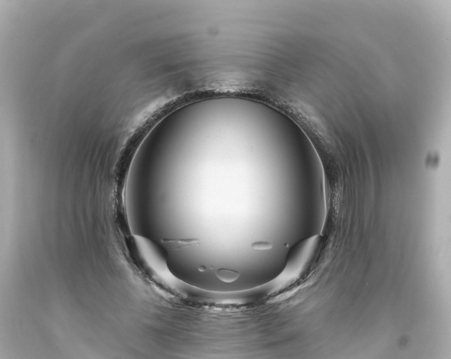 X0000094190540200711021030