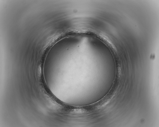 X0000094190541200711021030